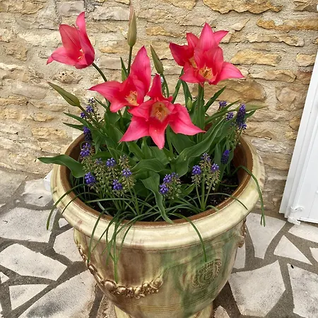 La Grange Frühstückspension Blanzay